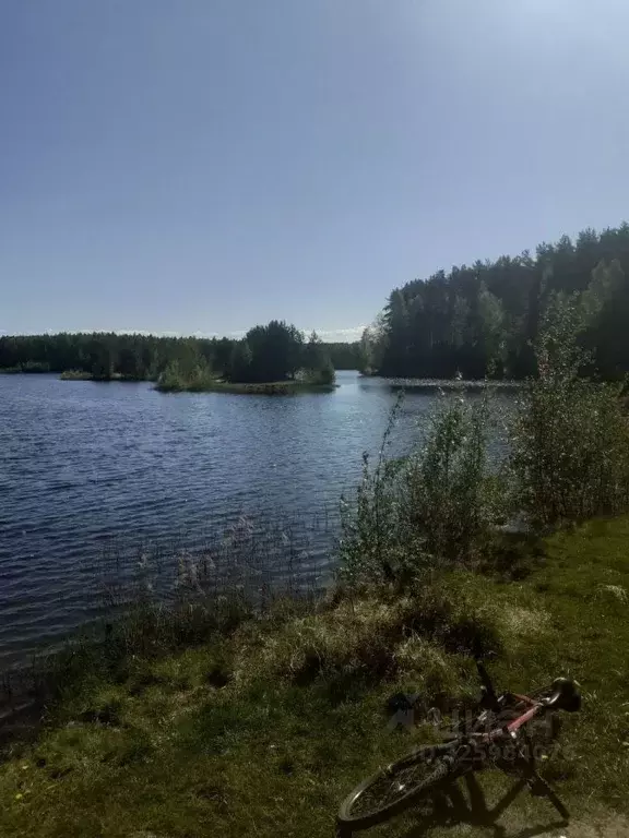 Дом в Ленинградская область, Всеволожский район, Морозовское городское ... - Фото 2
