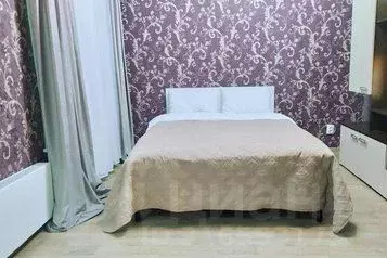 1-к кв. Красноярский край, Красноярск ул. Алексеева, 46 (30.0 м) - Фото 1