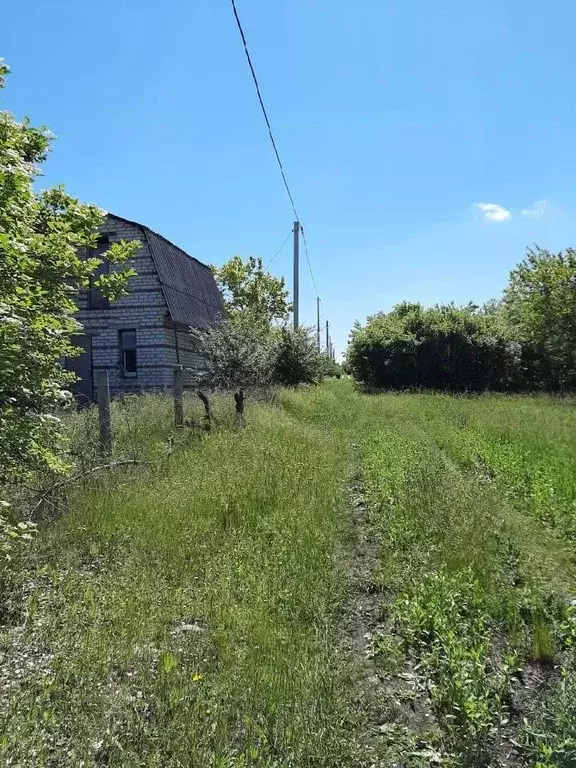 Участок в Белгородская область, Белгородский район, Поселок Разумное ... - Фото 0