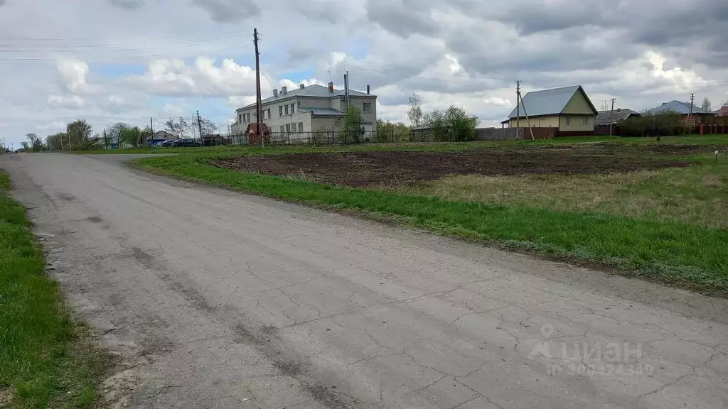 Участок в Курганская область, Кетовский муниципальный округ, с. Митино ... - Фото 2