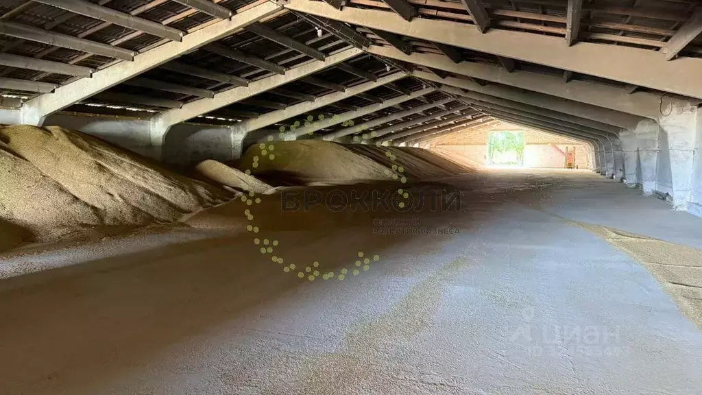 Склад в Краснодарский край, Краснодар Центральный мкр, ул. ... - Фото 1