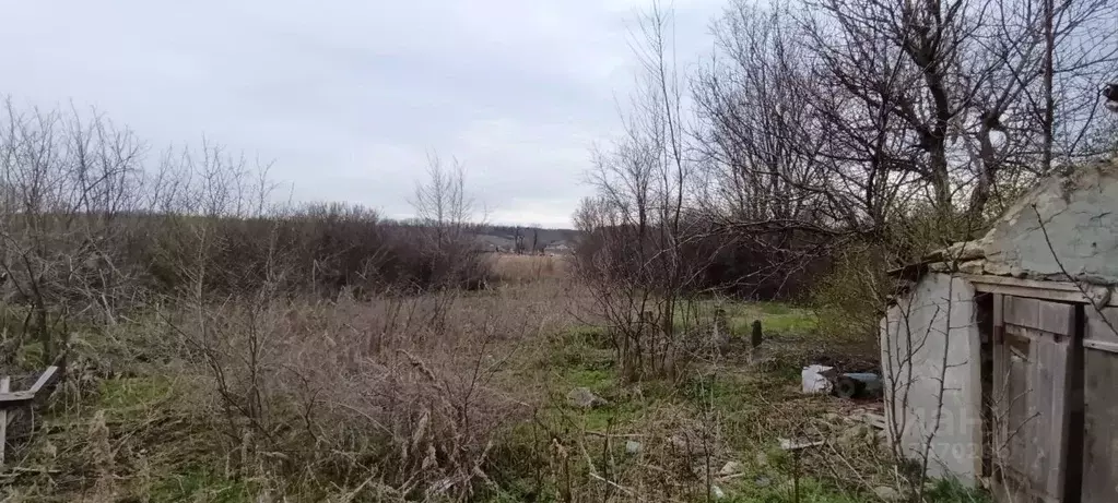 Участок в Ростовская область, Родионово-Несветайский район, Волошино ... - Фото 0