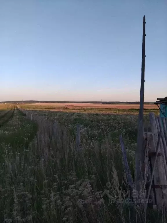 Участок в Челябинская область, Чебаркульский муниципальный округ, д. ... - Фото 2