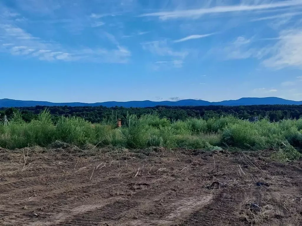 Участок в Хабаровский край, Хабаровский район, с. Краснореченское пер. ... - Фото 1