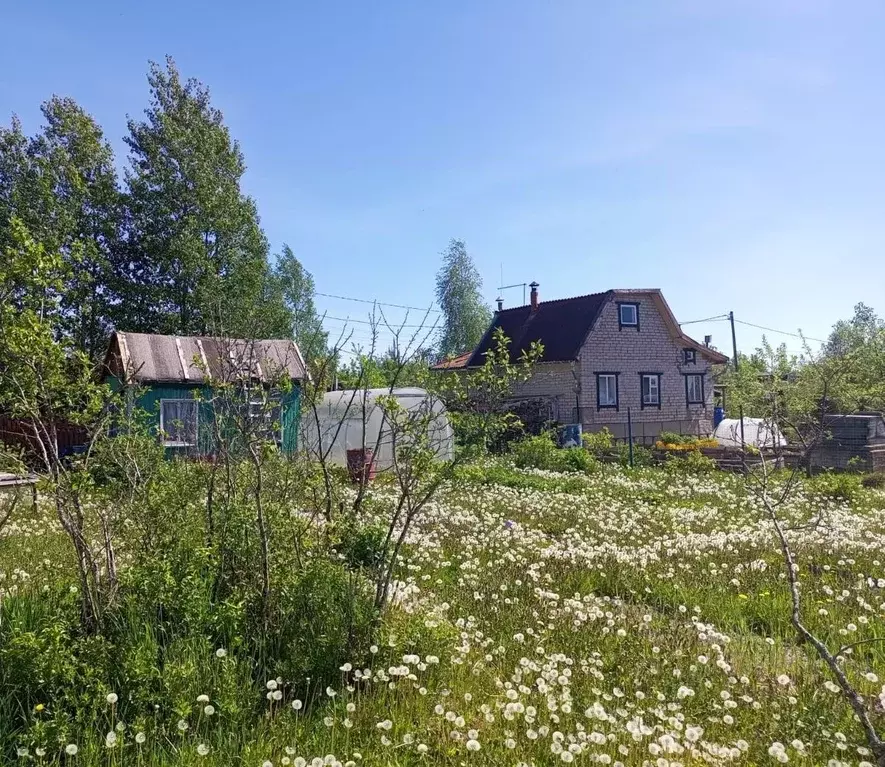 Дом в Новгородская область, Новгородский район, Панковское городское ... - Фото 1