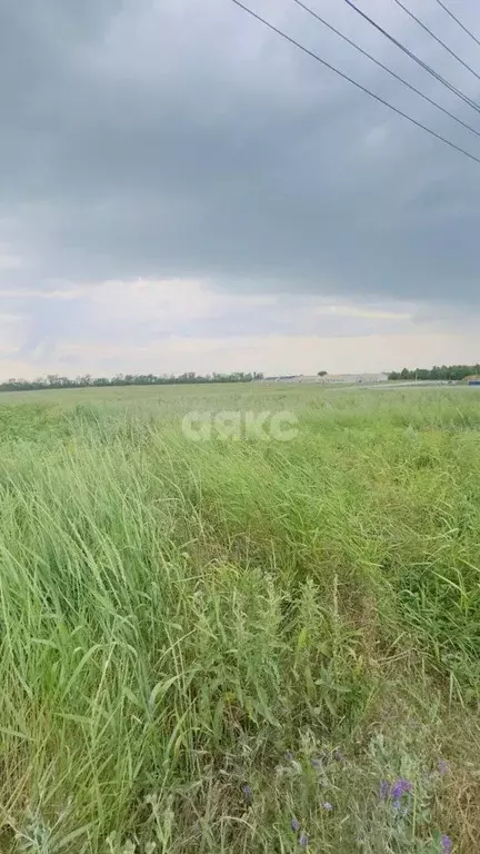 Участок в Краснодарский край, Кореновск 2-й кв-л,  (6.6 сот.) - Фото 0
