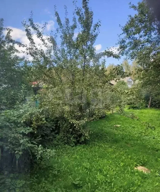 Участок, 6 сот., сельхоз (снт или днп) - Фото 1