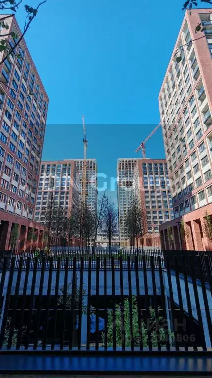 Торговая площадь в Новосибирская область, Новосибирск ул. Семьи ... - Фото 2