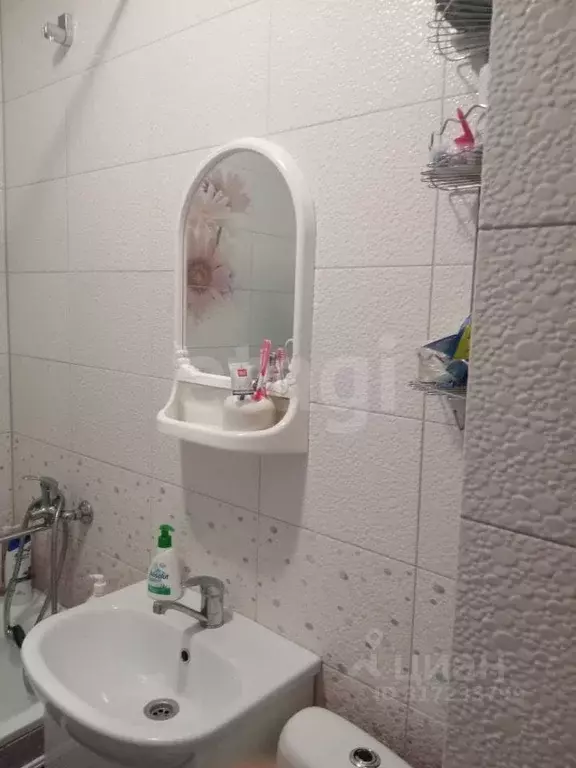 Студия Новосибирская область, Бердск Морская ул., 44к4 (26.0 м) - Фото 1