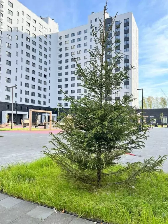 1-к кв. Пензенская область, Пенза ул. Яшиной, 16 (34.23 м) - Фото 1