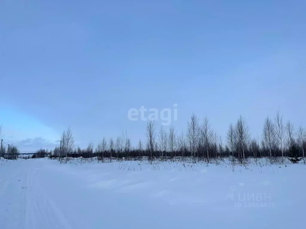 Участок в Марий Эл, Йошкар-Ола городской округ, д. Шоя-Кузнецово  ... - Фото 1