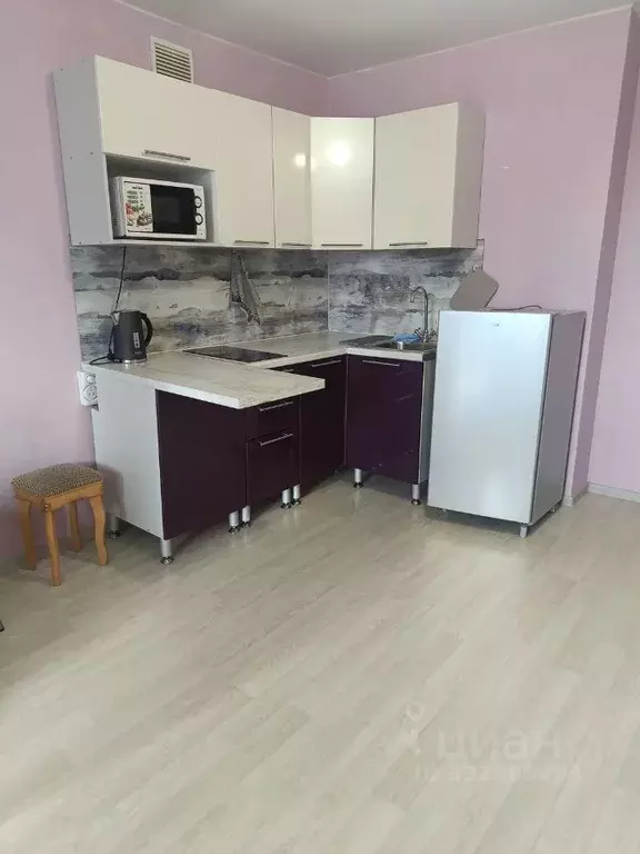 Студия Вологодская область, Череповец ул. Монтклер, 5 (24.0 м) - Фото 1