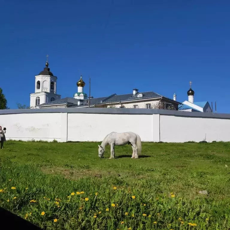 3-к кв. Владимирская область, Суздаль ул. Калинина, 3 (42.0 м) - Фото 0