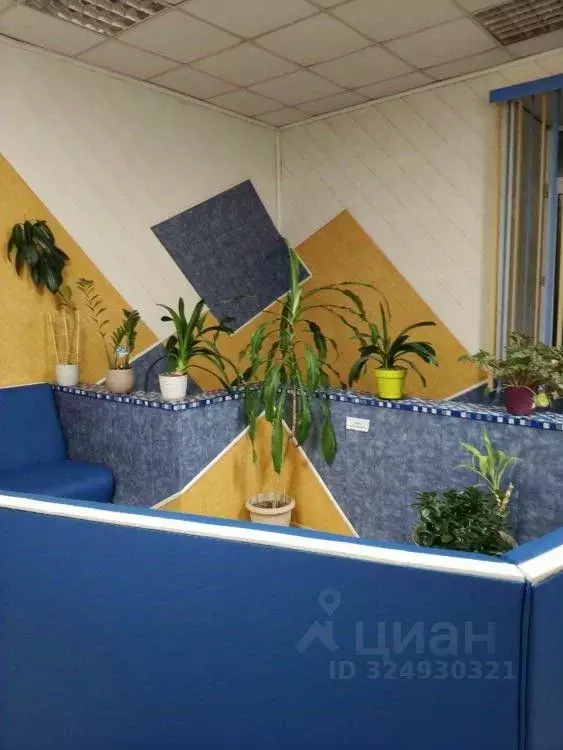 Помещение свободного назначения в Иркутская область, Иркутск Киевская ... - Фото 1