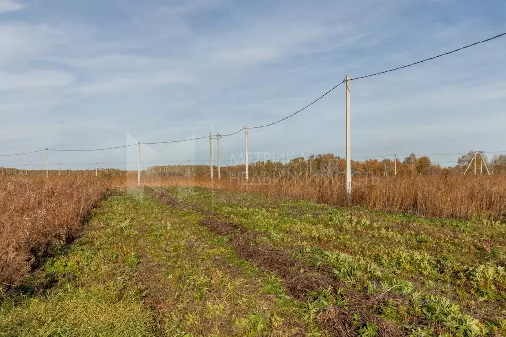 Участок в Тюменская область, Тюменский муниципальный округ, ... - Фото 1