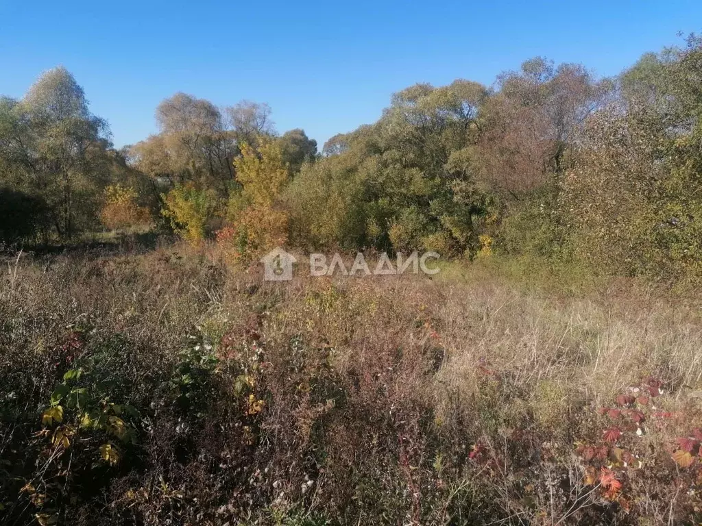 Участок в Московская область, Раменский городской округ, с. Никитское  ... - Фото 0