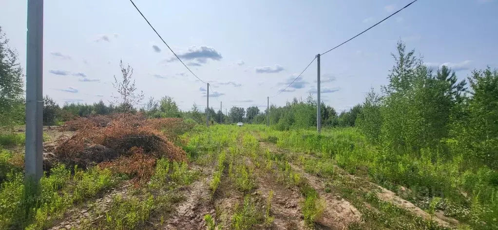 Участок в Нижегородская область, Нижний Новгород с. Безводное,  (11.0 ... - Фото 1