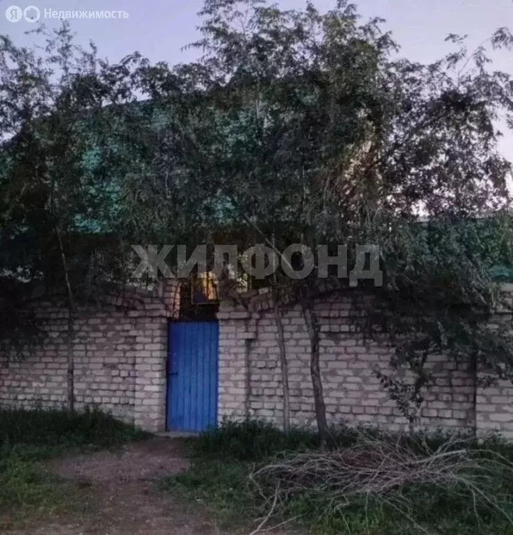 Дом в Борзя, улица Гастелло (80 м) - Фото 2