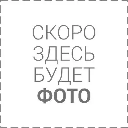 Участок в Новосибирская область, Коченёвский муниципальный район, СНТ ... - Фото 1