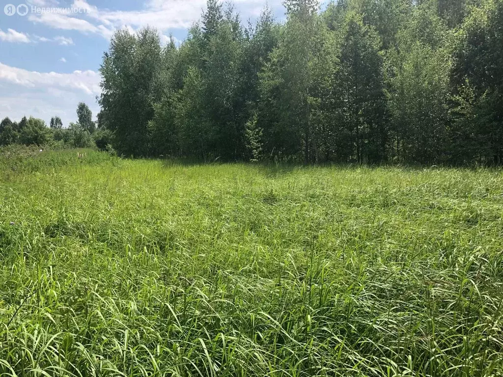 Участок в Московская область, Можайский муниципальный округ, деревня ... - Фото 1