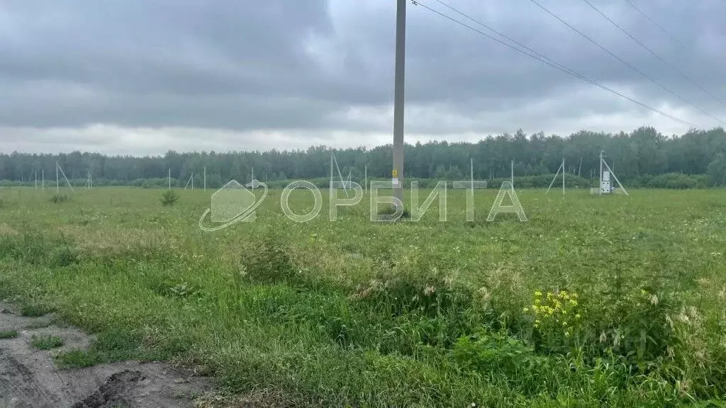 Участок в Тюменская область, Тюменский район, Южный Подъем тер. ул. ... - Фото 0