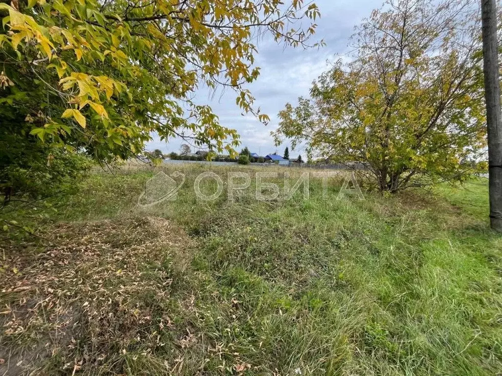 Участок в Тюменская область, Нижнетавдинский район, с. Антипино ул. ... - Фото 1