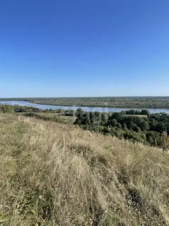 Участок в Владимирская область, Меленковский муниципальный округ, д. ... - Фото 1