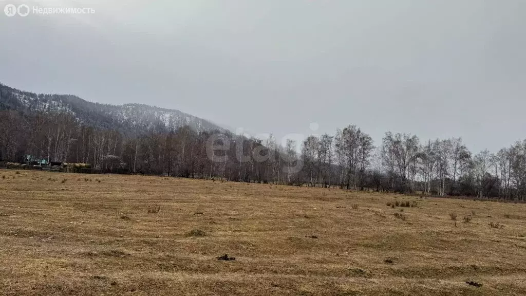 Участок в Усть-Коксинский район, посёлок Гагарка (18 м) - Фото 1