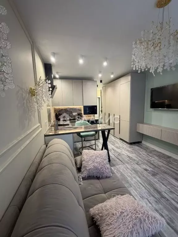 Студия Москва Производственная ул., 17 (21.0 м) - Фото 2