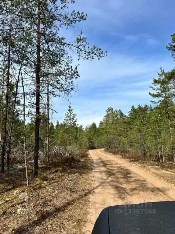 Дом в Тверская область, Осташковский городской округ, д. Уревы  (35 м) - Фото 0