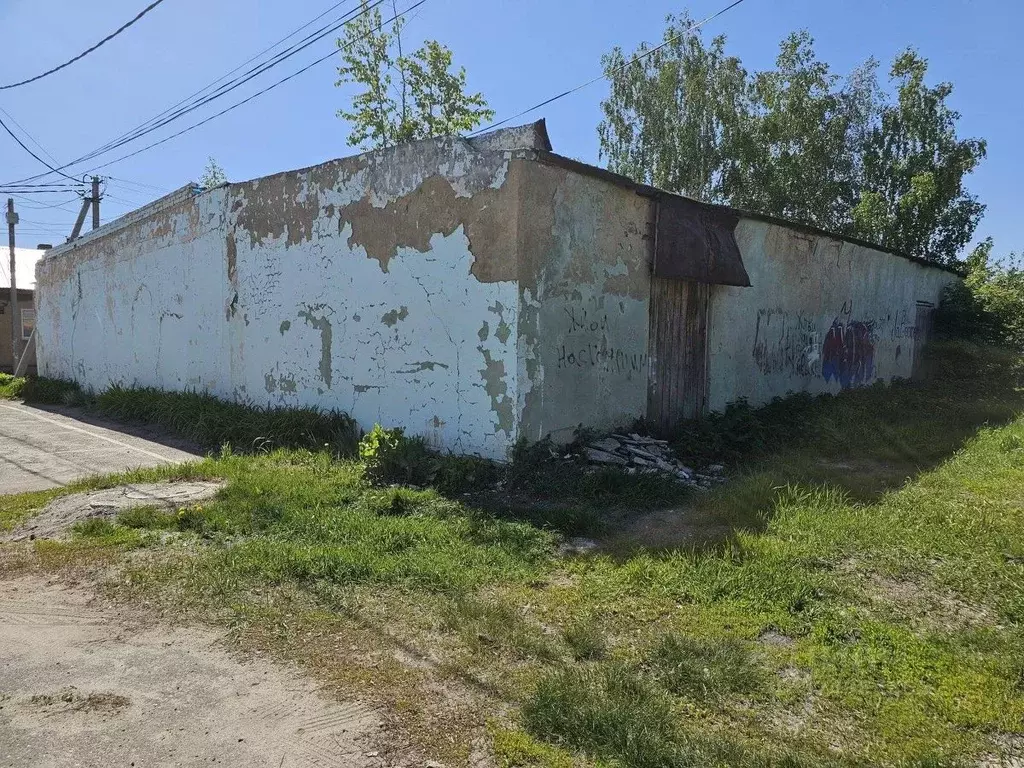 Торговая площадь в Московская область, Луховицы муниципальный округ, ... - Фото 2