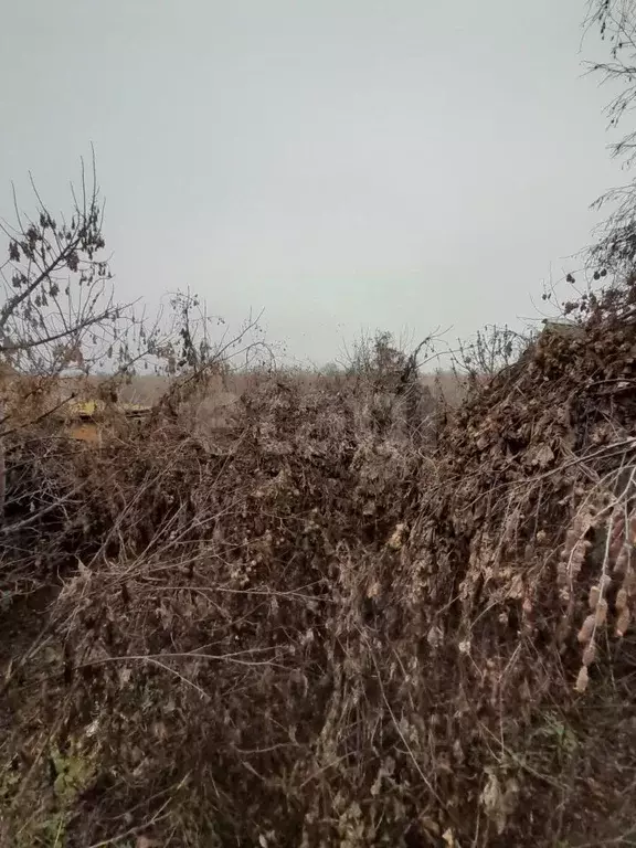 Дом в Саратовская область, Балашовский район, с. Тростянка ул. Ленина, ... - Фото 2