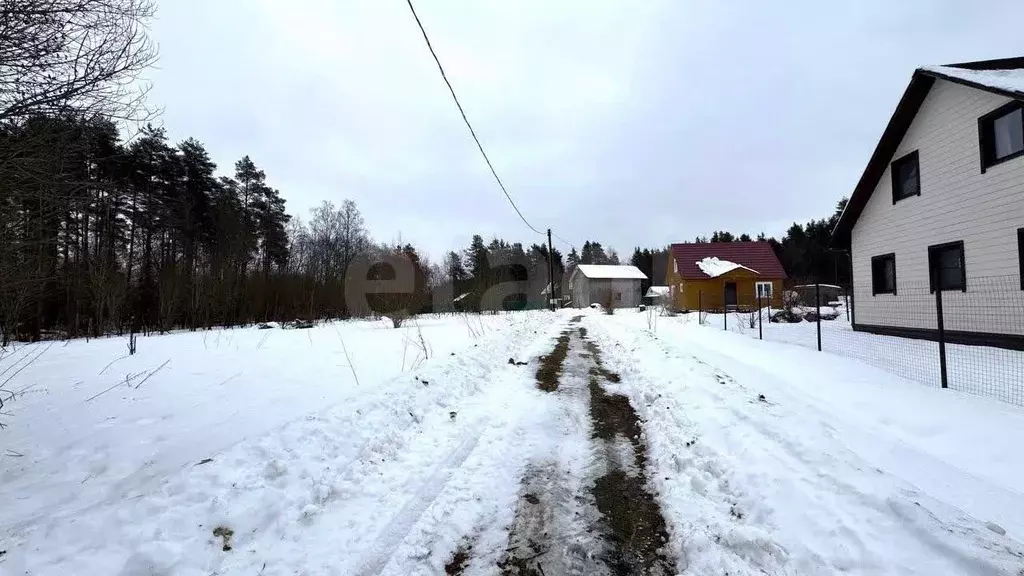 Участок в Ленинградская область, Приозерский район, Раздольевское ... - Фото 1