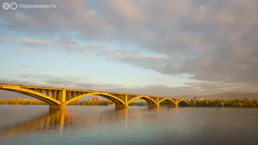 Участок в Пермь, улица Борцов Революции, 217 (4.6 м) - Фото 2