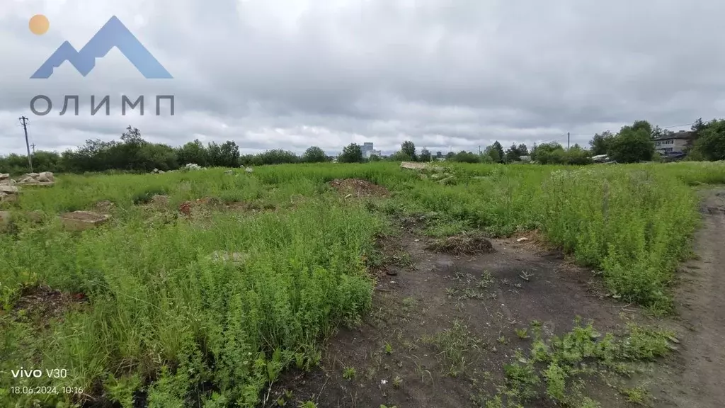 Участок в Вологодская область, Сокольский муниципальный округ, ... - Фото 0