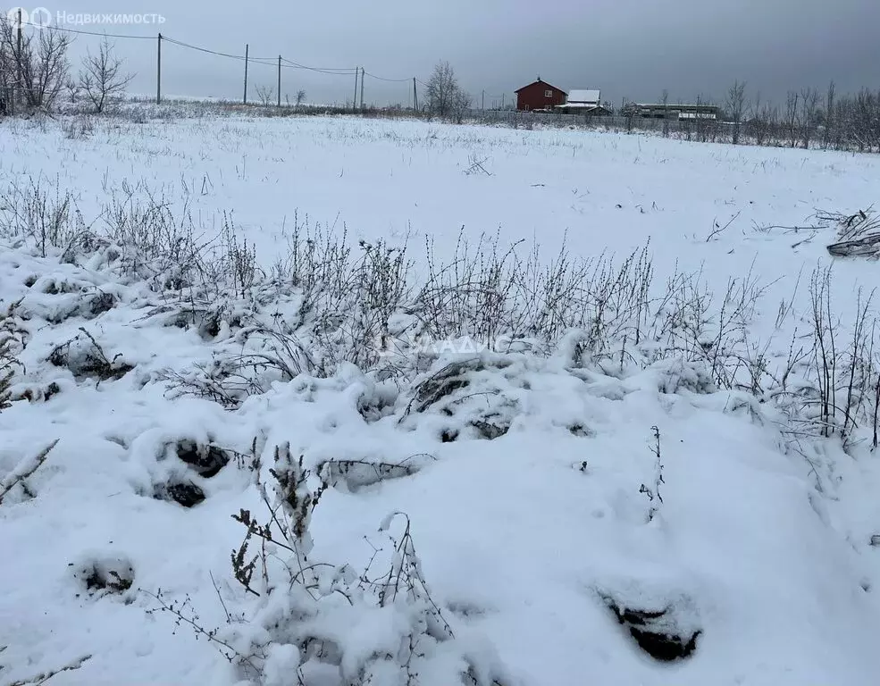 Участок в село Воскресеновка, Лесная улица, 8 (11.37 м) - Фото 1