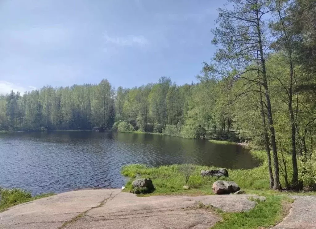 Участок в Ленинградская область, Выборгский район, Каменногорское ... - Фото 2