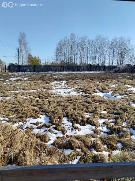 Участок в Иркутский муниципальный округ, СНТ Черёмушки (19 м) - Фото 2