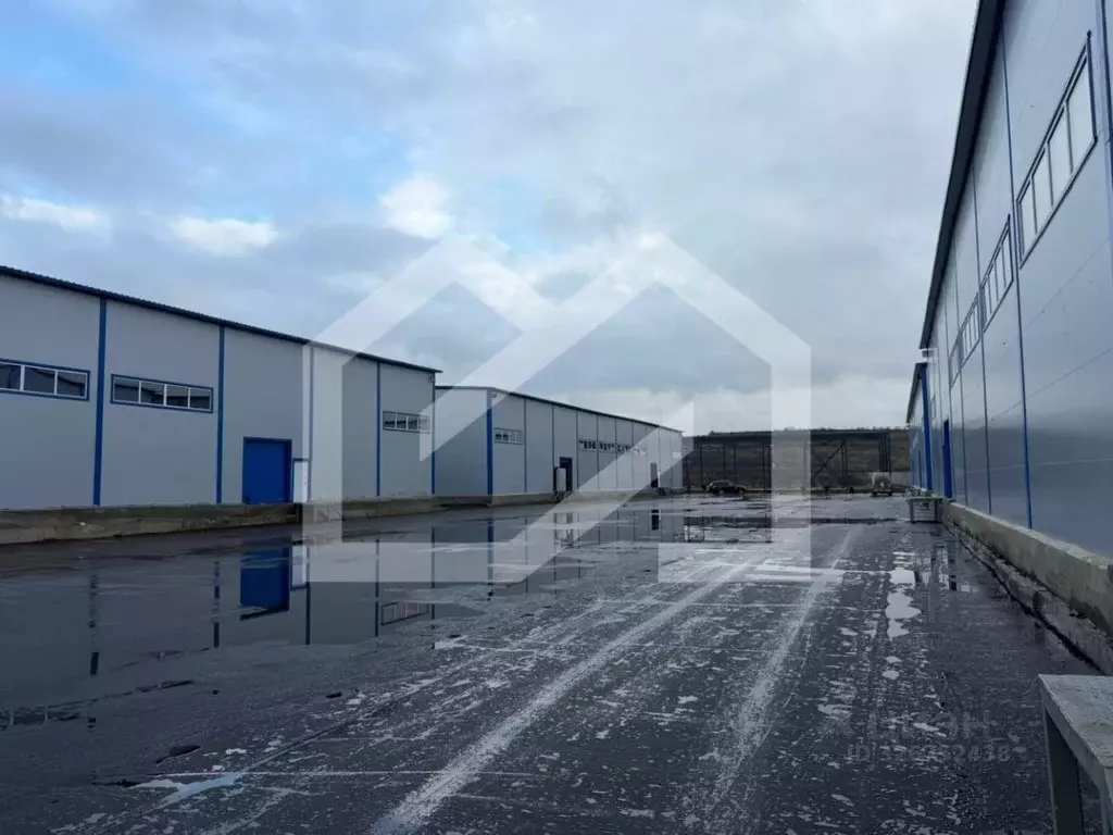 Помещение свободного назначения в Московская область, Балашиха ... - Фото 1