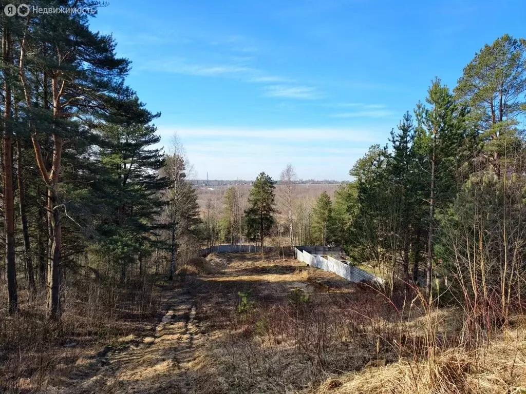 Участок в деревня Юкки, Солнечная улица, 13 (32 м) - Фото 2