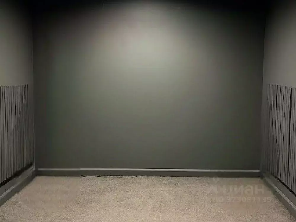 Торговая площадь в Москва Лесная ул., 43 (103 м) - Фото 1