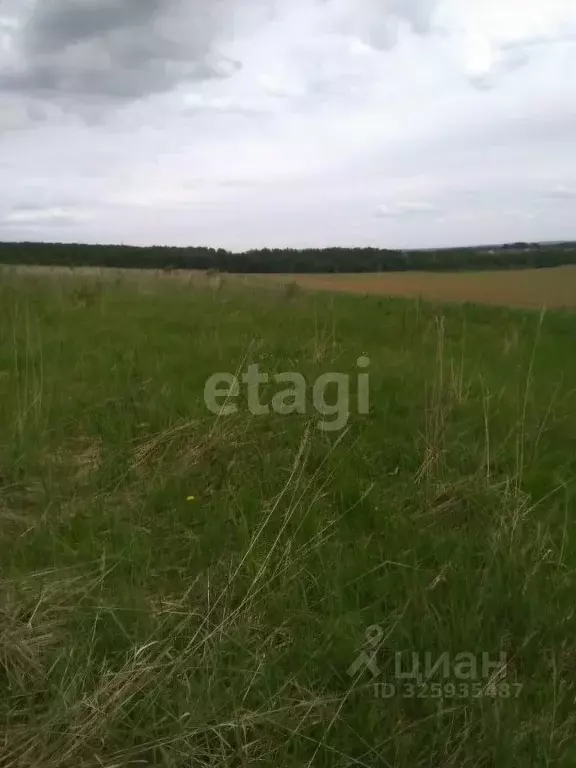 Участок в Калужская область, Калуга городской округ, д. Березовка ул. ... - Фото 2