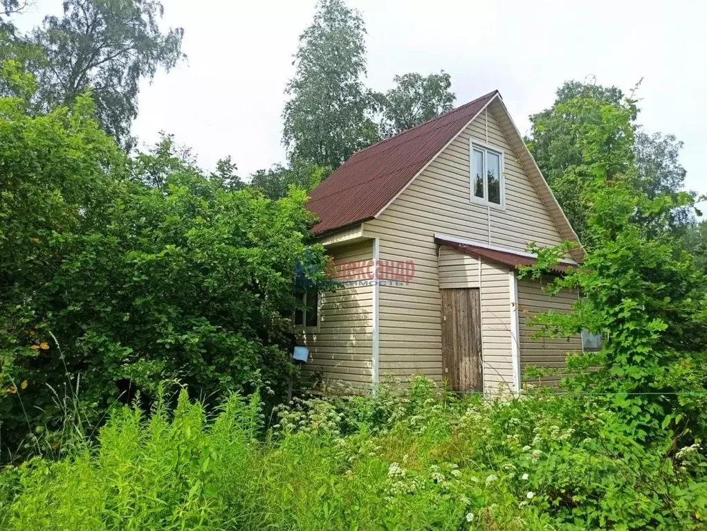 Дом в Ленинградская область, Выборг Рябиновый Мыс СНТ,  (48 м) - Фото 0