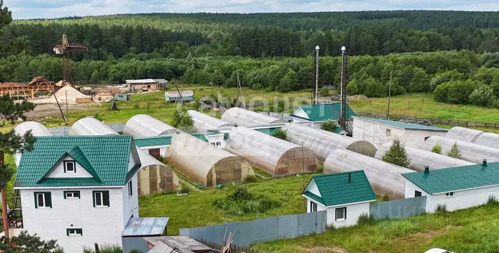 Помещение свободного назначения в Челябинская область, ... - Фото 1