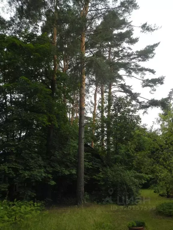 Дом в Московская область, Одинцовский городской округ, д. Жуковка 122 ... - Фото 1