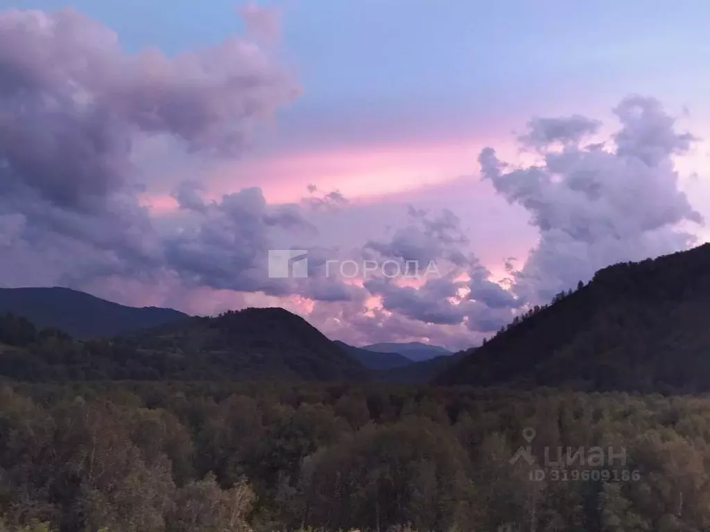 Участок в Алтайский край, Солонешенский район, с. Топольное  (21.66 ... - Фото 0