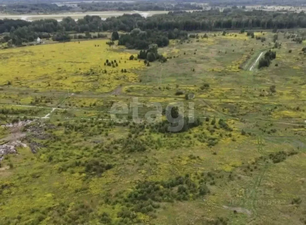 Участок в Калининградская область, Зеленоградский муниципальный округ, ... - Фото 1