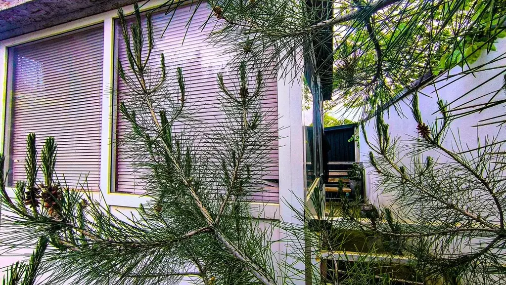 Студия Севастополь ул. Адмирала Владимирского, 24 (17.0 м) - Фото 2