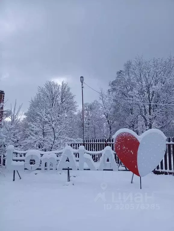 Дом в Ленинградская область, Ломоносовский район, Копорское с/пос, д. ... - Фото 1