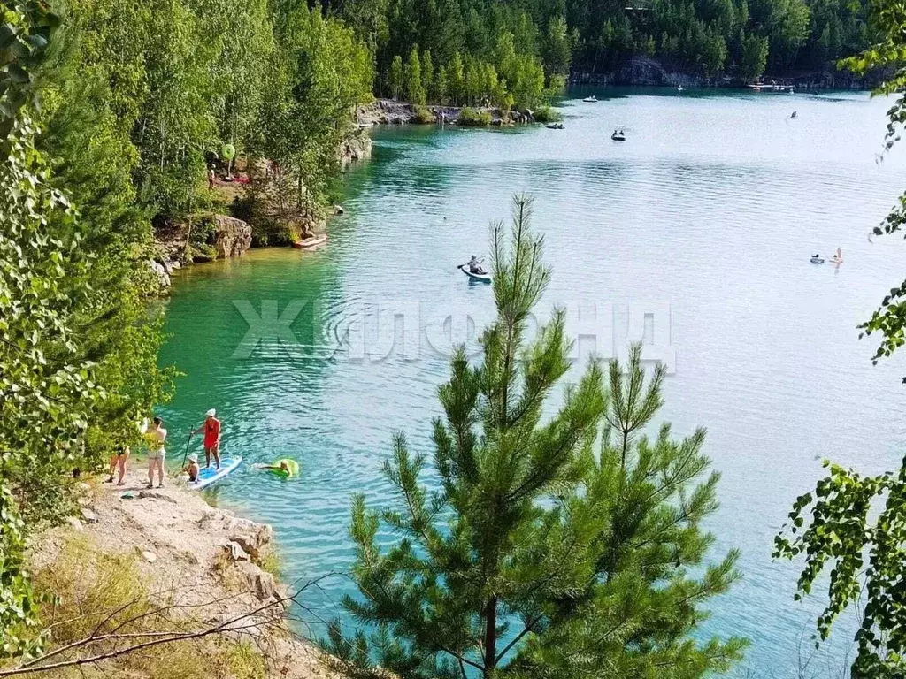 Участок в Новосибирская область, Ордынский район, д. Абрашино  (9.0 ... - Фото 0